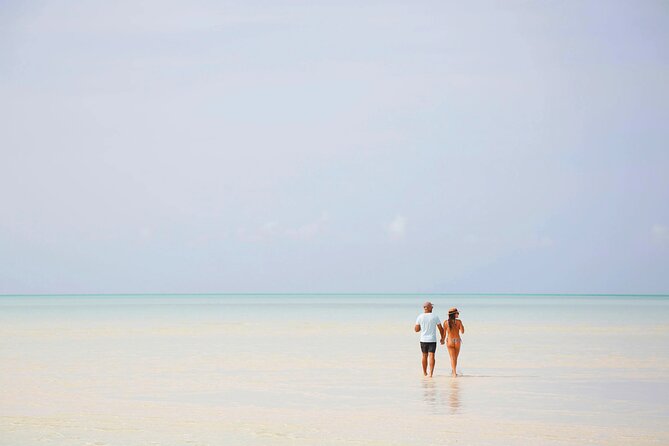 Swim With the Pigs! Half Day Harbour Island Private Boat Tour - Frequently Asked Questions