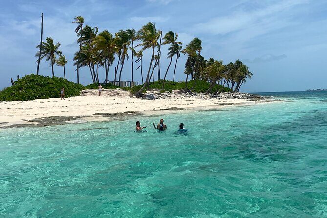 Swim with the Pigs Safari in Bahamas (2hrs) - The Sum Up