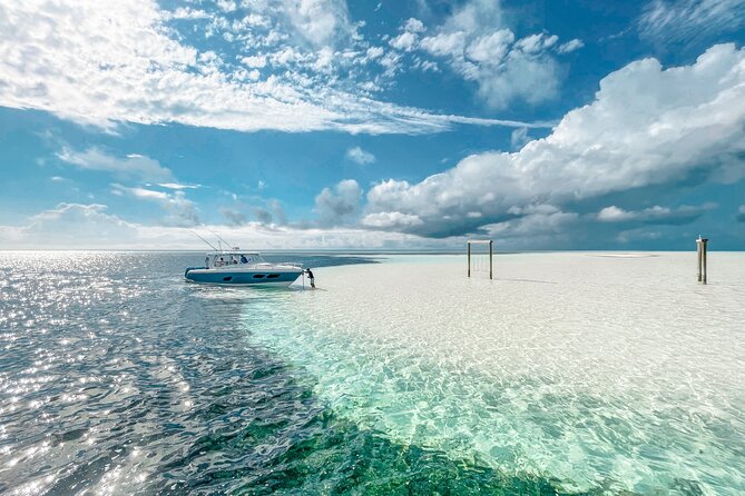 Swim With the Turtles! Harbour Island Luxury Private Boat Tour - Tour Experience