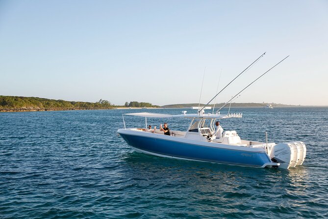Swim With the Turtles! Harbour Island Luxury Private Boat Tour - Customer Reviews