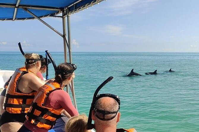 Swim with the Whale Shark on Holbox Island - Final Thoughts