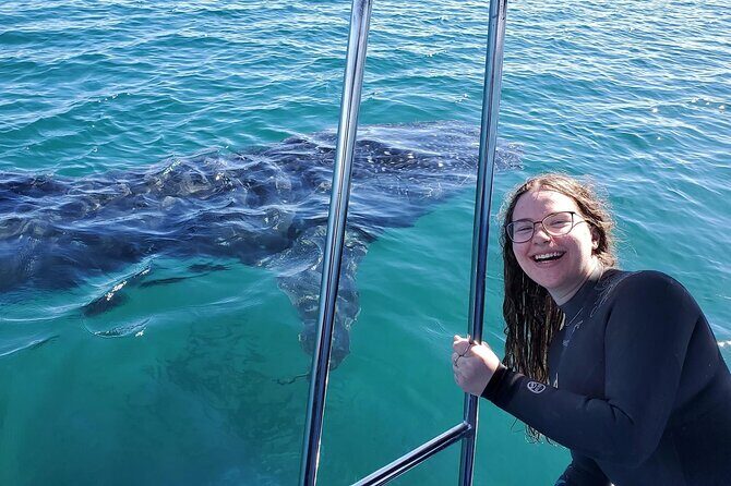 Swim with Whale Sharks #1 MUST DO IN LA PAZ - An In-Depth Look at the Whale Shark Tour in La Paz