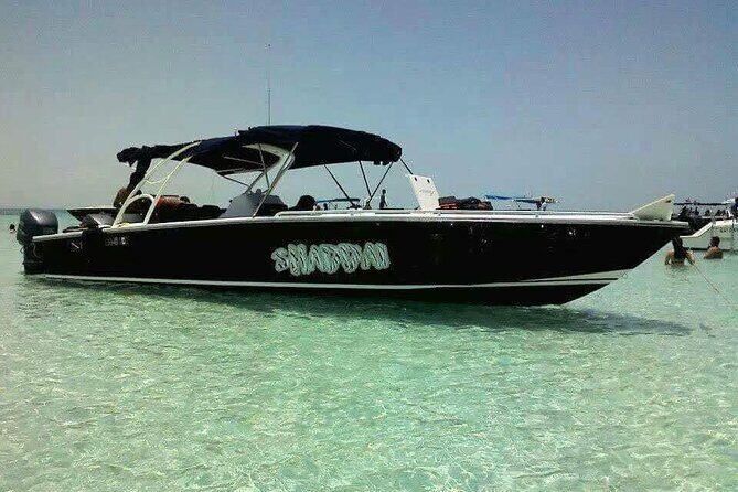 Swim with Whale Sharks Private tour from Playa del Carmen - The Main Event: Snorkeling with the Whale Sharks