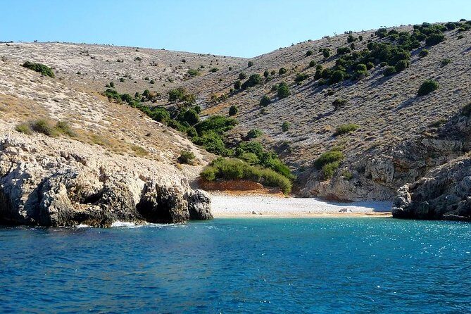 Swimming and Snorkeling on Wild bays with Captain Bobo - Who Is This Tour Best For?