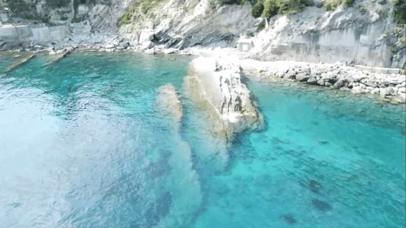 Swimming Cetacea Private Tour Boat Genova Portofino - FAQ