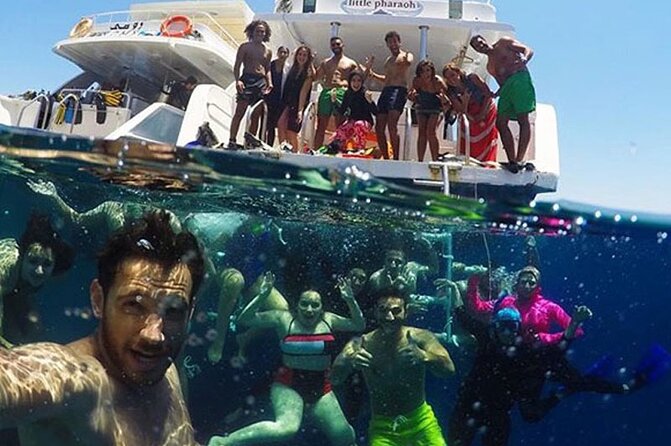 Swimming Close to Wild Dolphins From Hurghada - Meeting and Pickup