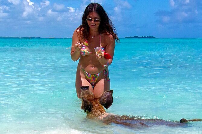 Swimming Pigs and Private Beach Club Escape - Value and Practicality