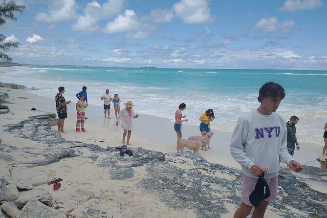 Swimming Pigs & Tour with Transportation to Rose Island - The Sum Up: Is It Worth Your Time?