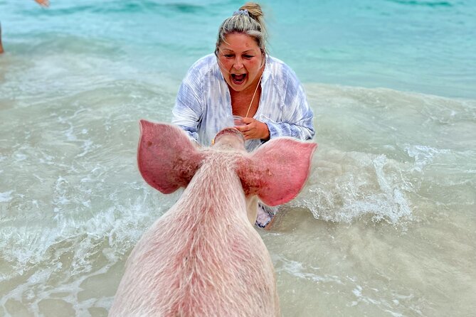 Swimming Pigs With Pickup: Pig Cant Fly, but They Do Swim! - Cancellation Policy and Refunds