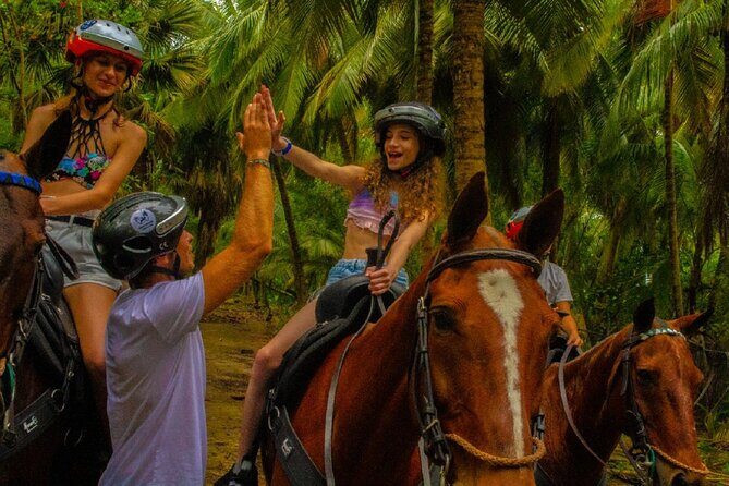 Swimming with Horses at the Beach from Punta Cana Free transportation - Exploring the Itinerary: What to Expect