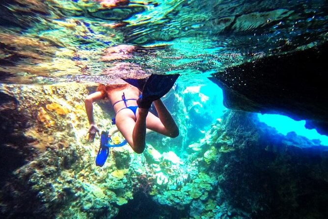 Swimming With Pigs in Exuma Private Tour From Nassau - Tour Overview and Inclusions