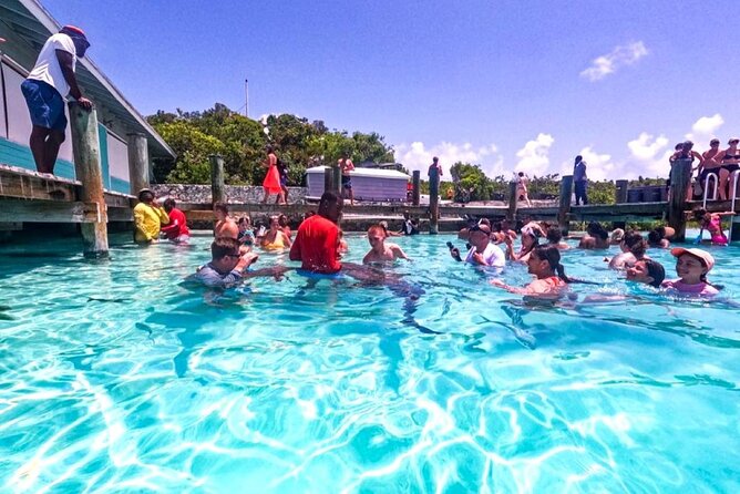Swimming With Pigs in Exuma Private Tour From Nassau - Preparing for the Adventure