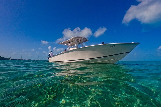 Swimming With Pigs in Exuma Private Tour From Nassau - Frequently Asked Questions
