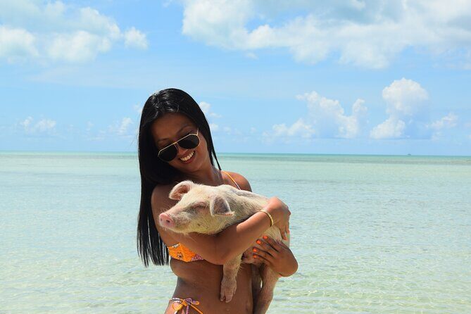 Swimming with Pigs in Nassau, Transportation Included - Authenticity and Atmosphere  