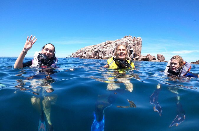 Swimming with sea lions in Isla Espiritu Santo, La Paz, Mexico - Who Will Love This Tour?