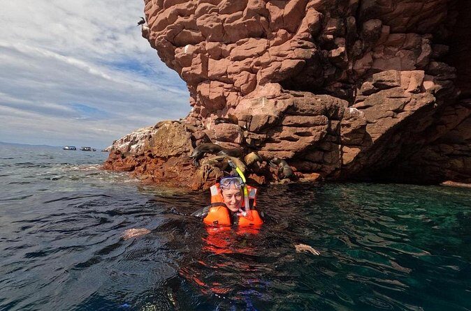 Swimming with sea lions in Isla Espiritu Santo, La Paz, Mexico - FAQ