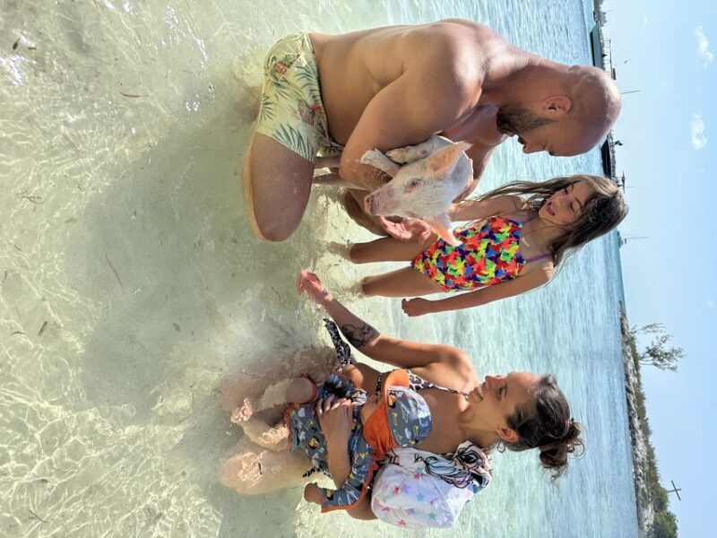 Swimming with the pigs, turtles and reef snorkeling!!! - Key Points