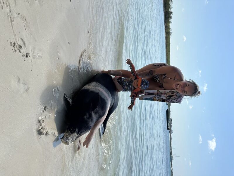 Swimming with the pigs, turtles and reef snorkeling!!! - An Overview of the Experience