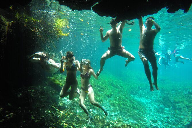 Swimming with turtles, 2 cenotes & gopro - FAQ