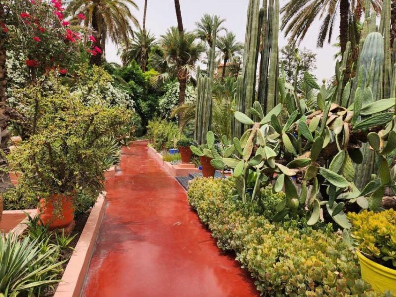 Swing Into Luxury: Twin Half-Day Golf Escapes in Casablanca - Scenic Views and Golf
