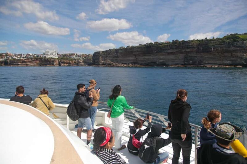 Sydney: 2.5-Hour Discovery Whale Watching Tour by Catamaran - Who Is This Tour Best For?