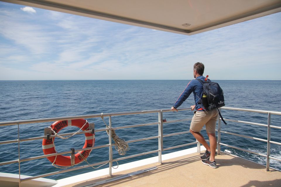 Sydney: 3-Hour Whale Watching Tour by Catamaran - Whale Watching Vessel