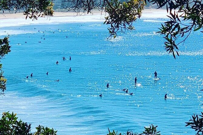 Sydney 6 Hour Private Tour - Practical Aspects to Keep in Mind