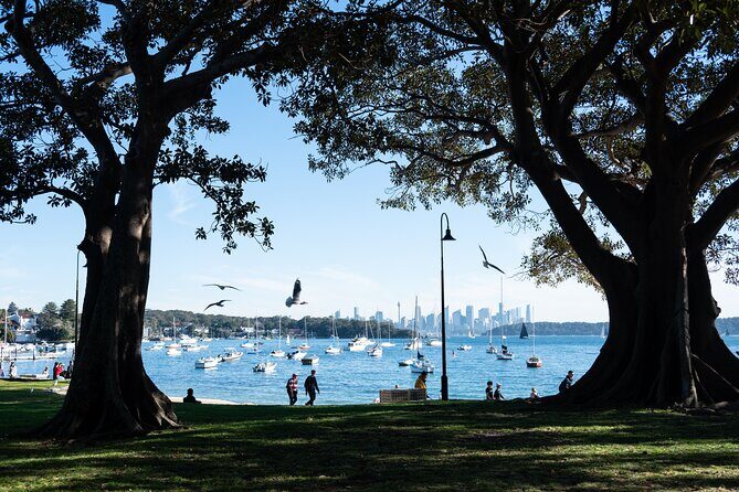 Sydney Airport Transfer to CBD with Harbour Ferry and Manly Tour - Exploring Sydney with an Efficient, Sightseeing-Driven Approach