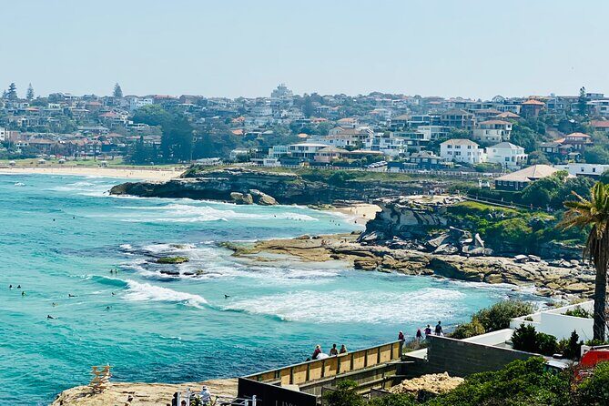 Sydney Beaches Half Day Drive and Walk Tour - An In-Depth Look at the Tour Experience