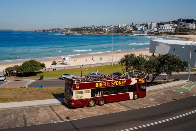 Sydney: Big Bus Hop-On Hop-Off Tour with Optional Cruise - A Practical and Well-Organized Way to See Sydney