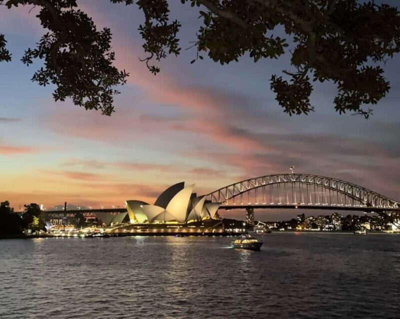 Sydney: Big Bus Panoramic Night Tour by Open-Top Bus - An Overview of the Nighttime Experience in Sydney
