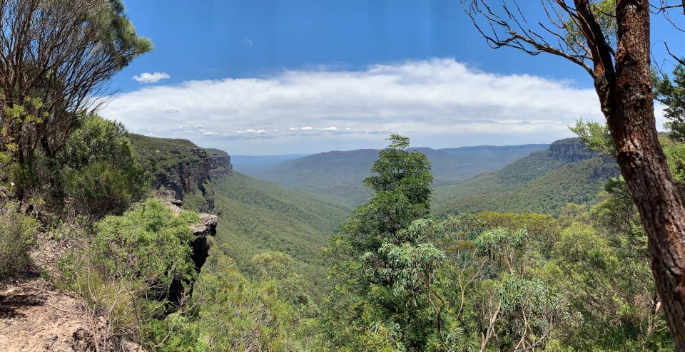 Sydney: Blue Mountains Featherdale and Wentworth Falls Tour - Key Points