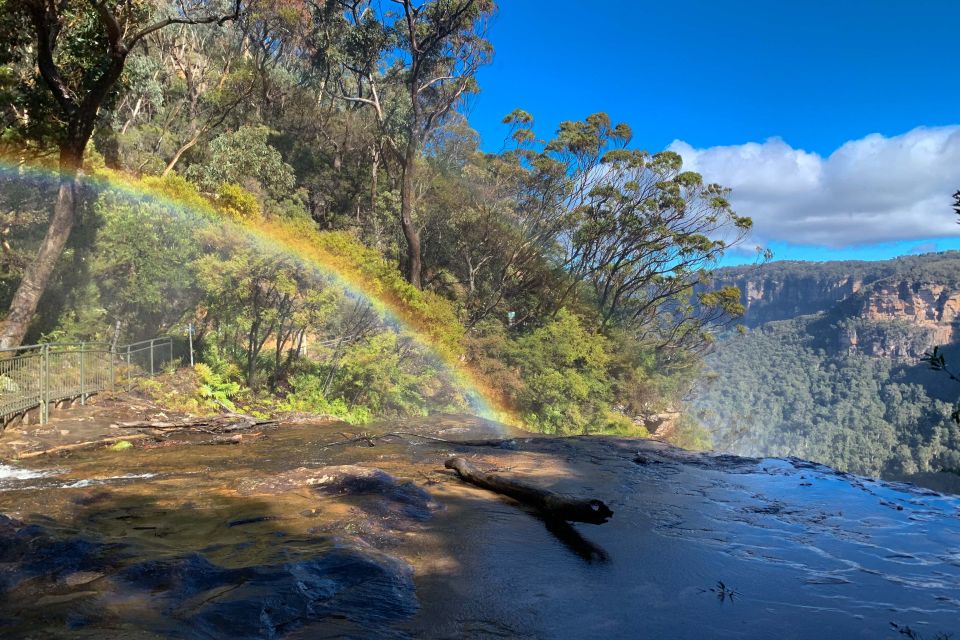 Sydney: Blue Mountains Featherdale and Wentworth Falls Tour - Background