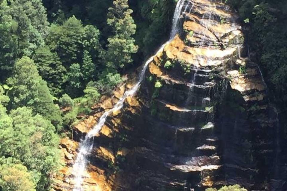 Sydney: Blue Mountains & Featherdale Wildlife Park Day Trip - Notable Features