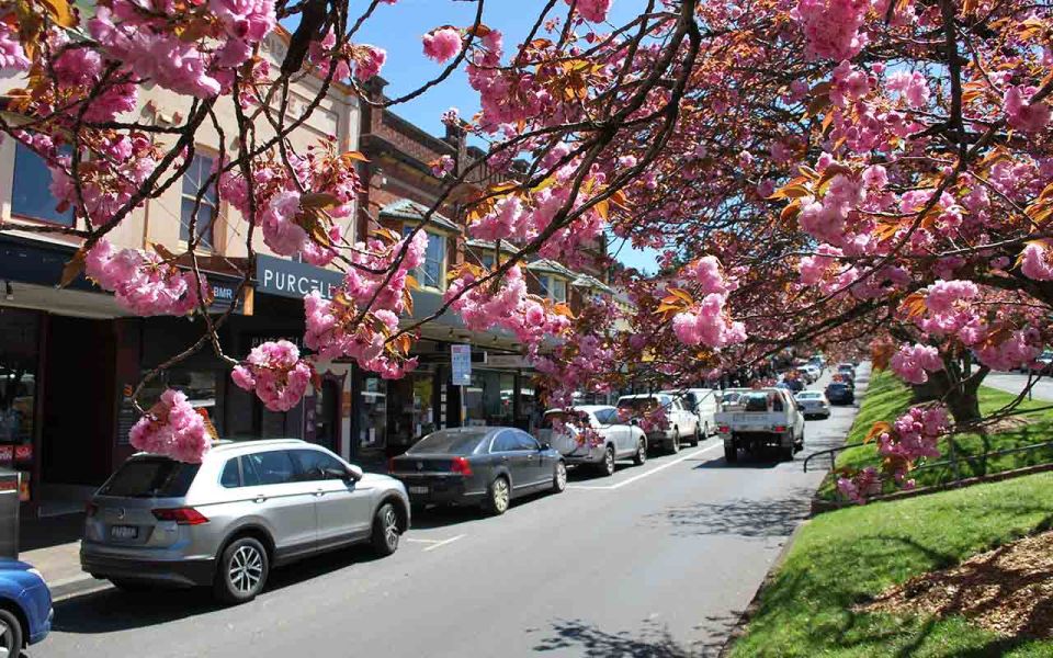Sydney: Blue Mountains & Featherdale Wildlife Park Day Trip - Frequently Asked Questions