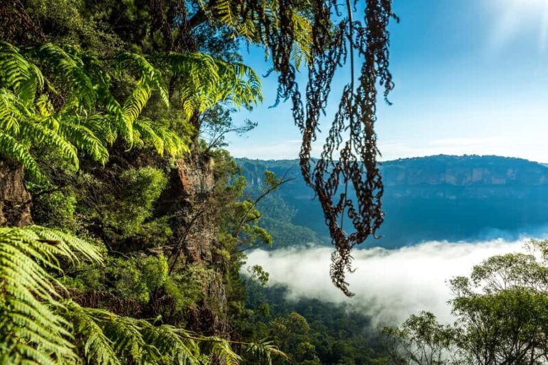 Sydney: Blue Mountains Late Start Tour with Walks & Wildlife - Megalong Valley Wildlife and Scenic Sights