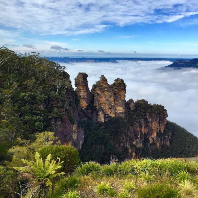 Sydney: Blue Mountains Private Wildlife Adventure Tour - Key Points