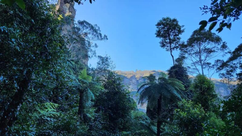 Sydney Blue Mountains, Scenic World, Featherdale (Private) - FAQ