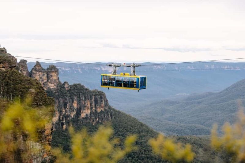 Sydney: Blue Mountains Scenic World, Wildlife Park and Lunch - A Practical Overview of the Tour Experience