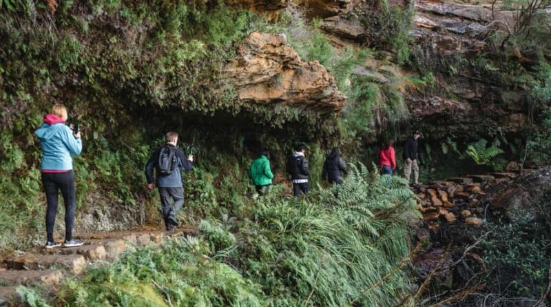 Sydney: Blue Mountains Wildlife & Bushwalk Small-Group Tour - Who Should Book This Tour?