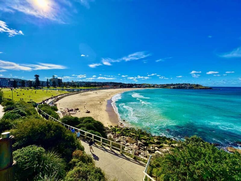 Sydney City Harbour and Coastal Adventure - Analyzing the Value