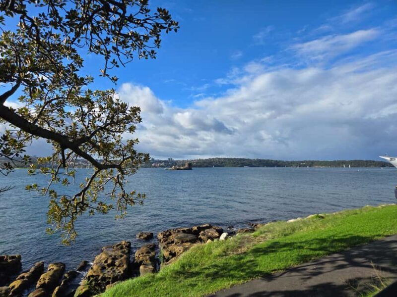 Sydney: City Hidden Gem Half-Day Tour - The Itinerary Breakdown