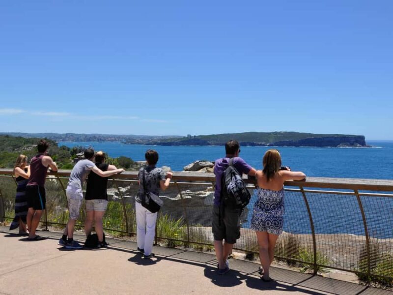 Sydney: City Highlights Guided Bus Tour - Key Points