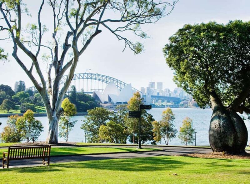 Sydney: City Hike with Opera Bar Lunch - Who Will Love This Experience?