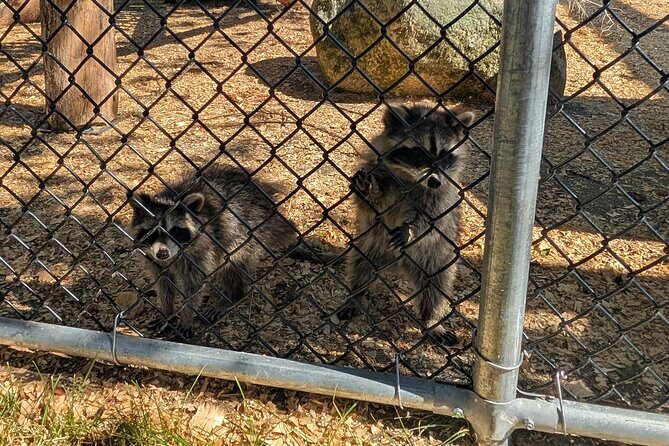 Sydney City Roots and Wildlife Trails of Cape Breton Island - FAQs