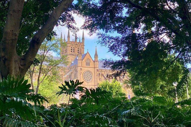 Sydney City Walking Tour - A Perfect Introduction for First-Time Visitors