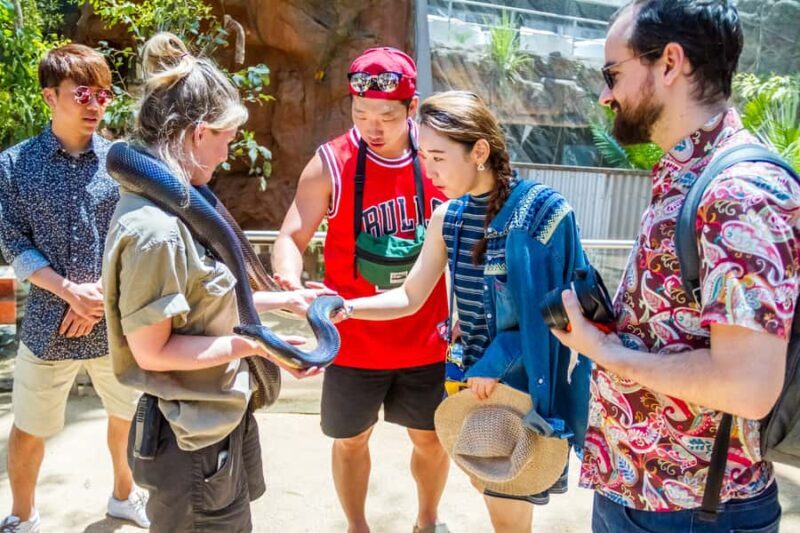 Sydney: Combo Pass for 2, 3, or 4 Top City Attractions - An In-Depth Look at the Sydney Combo Pass