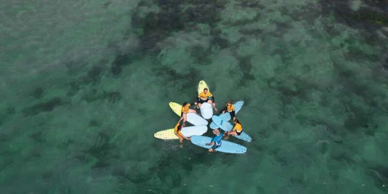 Sydney: Dee Why Beach Group Surfing Lesson - Key Points