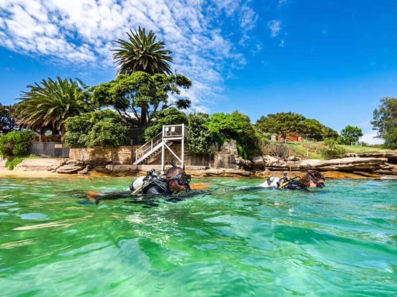 Sydney: Discover Scuba Dive at Australia's most Iconic Beach - Key Points