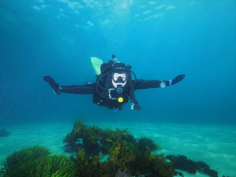 Sydney: Discover Scuba Dive at Australia's most Iconic Beach - Who Will Love This Experience?